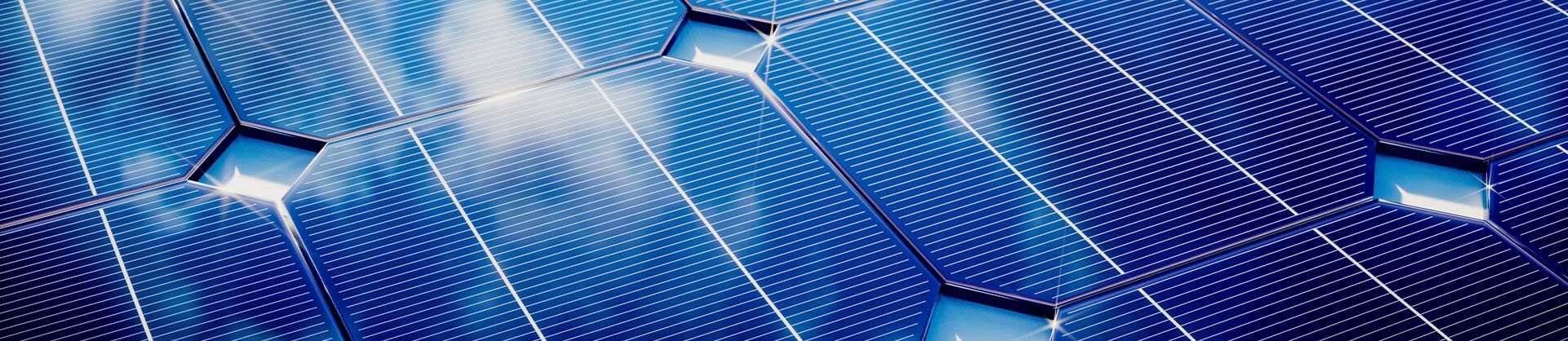 HaLog Leasing visual 5