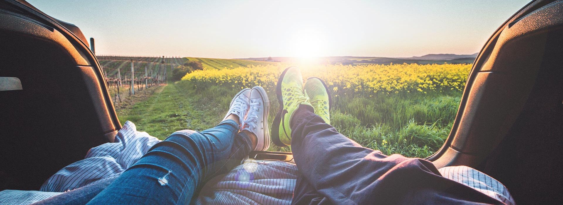 HaLog Leasing visual 6